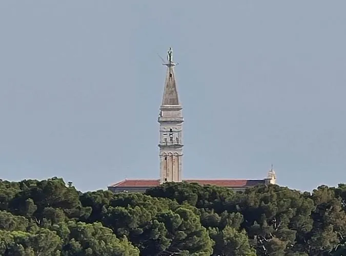 Molo View