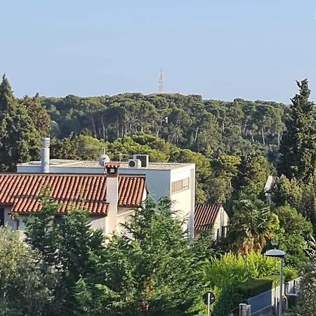 Molo View Apartament