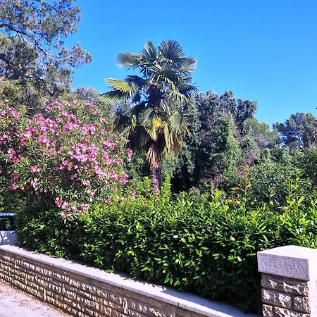 Molo View