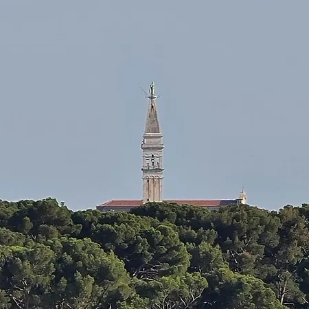 Molo View